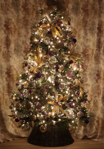 Show us your Christmas trees