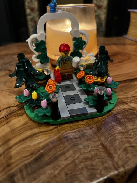 To show me your Lego collection?