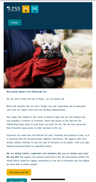 A baby red panda at Edinburgh zoo choked on her own vomit in terror at the fireworks last week