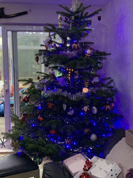 Show us your Christmas trees