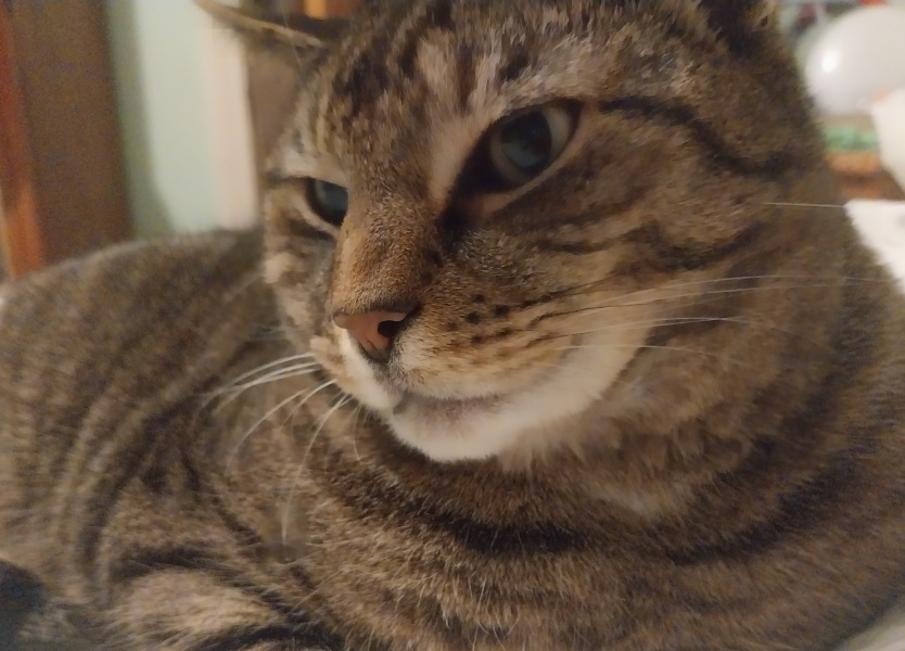 Thread 12 Starmer: From Prescott to Rayner, working class grit