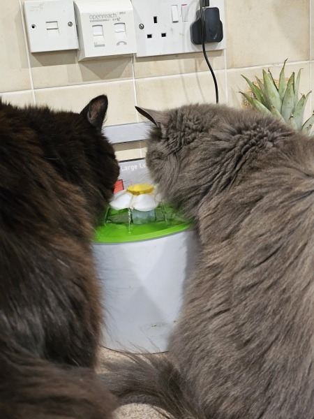 Water Fountain
