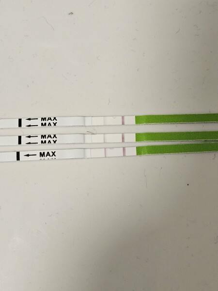 December TTC Support Group