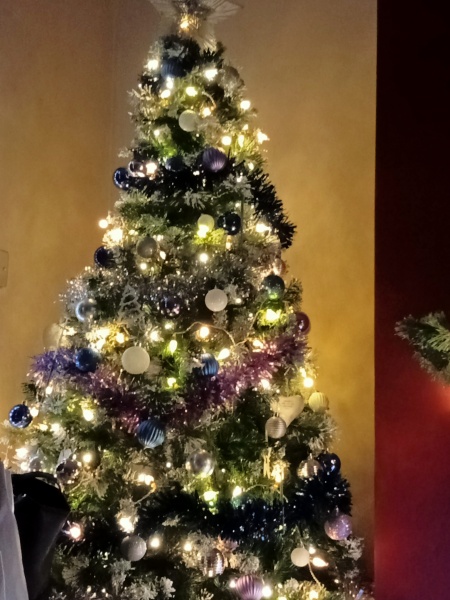 Show us your Christmas trees