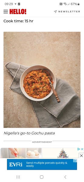 The Nigel Slater Christmas Chronicles Readalong 2024