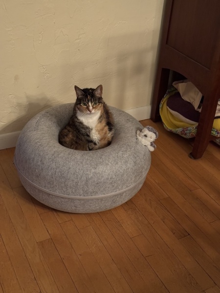 Come and tell me your dull and unexciting news 31: Calmly through the day