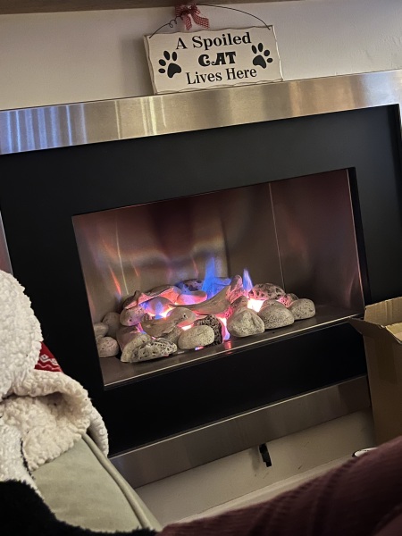 Has anybody got a fire or logburner lit at home today?