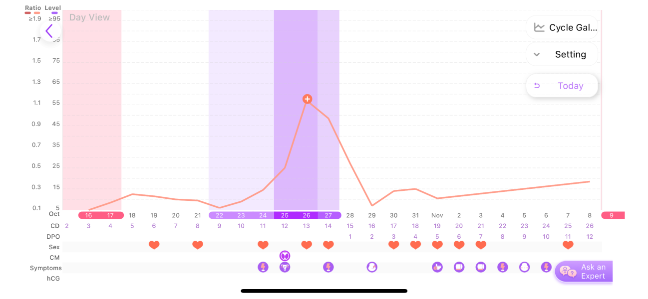 Nov 2024 TTC 💖 part 2 ✨