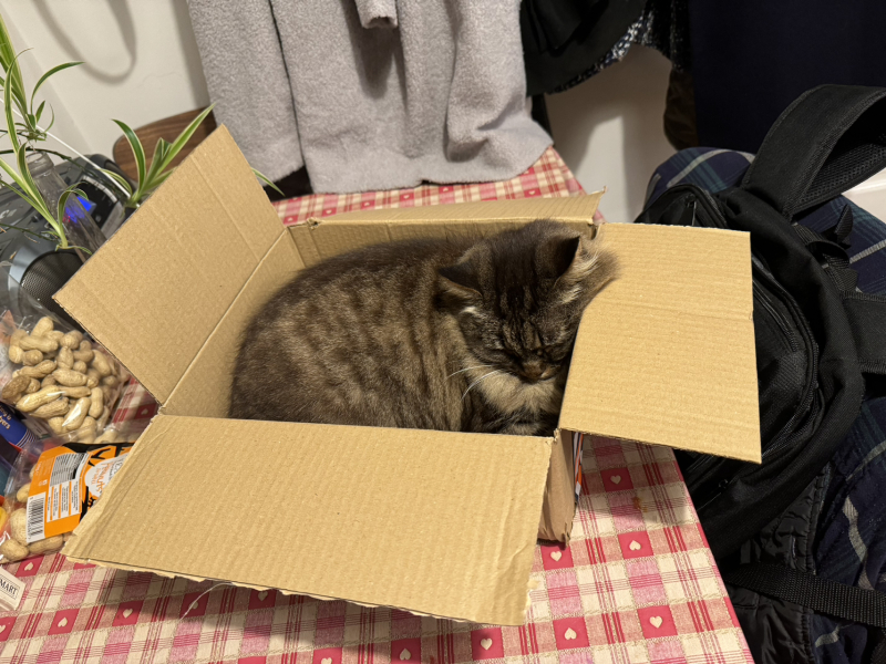 Most useful thing you've bought under £30