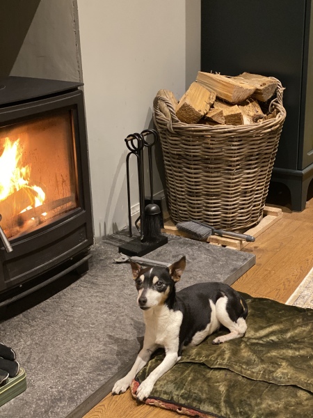 HIGHLIGHTING DANGER OF WOODBURNERS