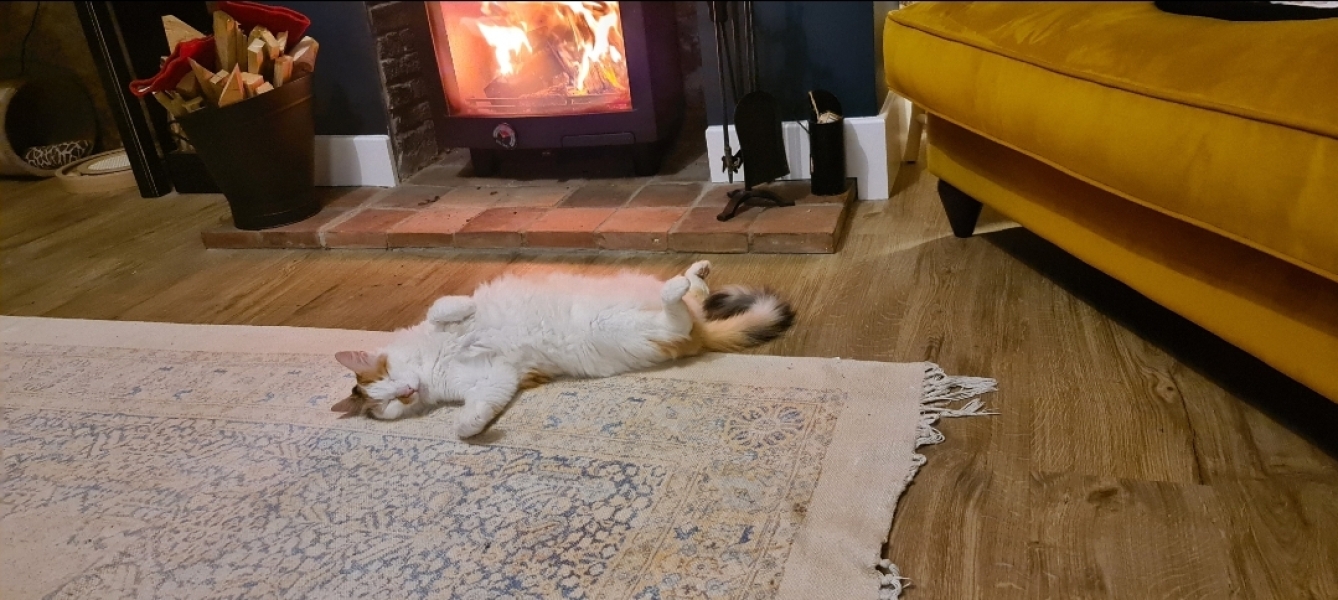 Has anybody got a fire or logburner lit at home today?