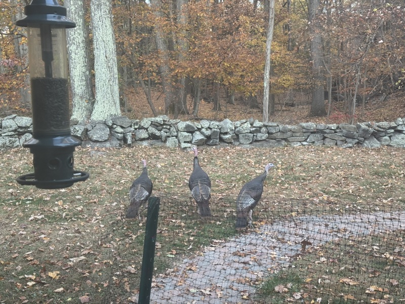 Come and tell us your dull and unexciting news 32: Calmly through the day