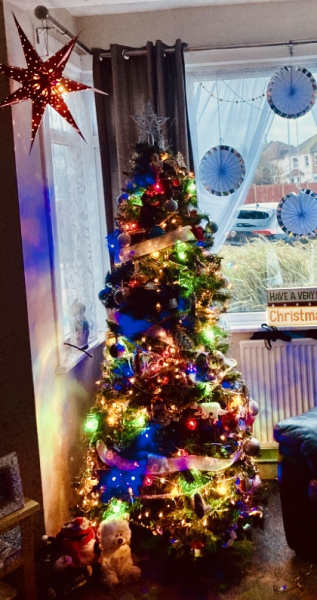 Show us your Christmas trees