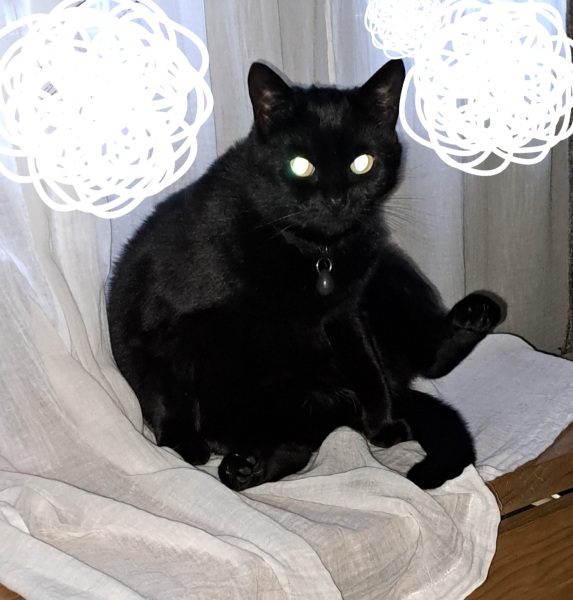 Bluestocking: Do androids dream of electric hair?