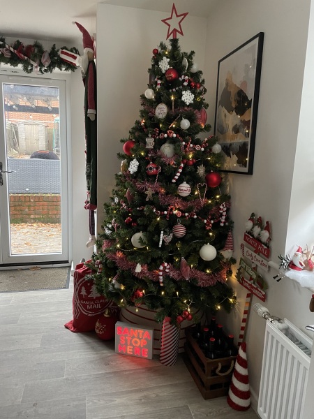 Show us your Christmas trees