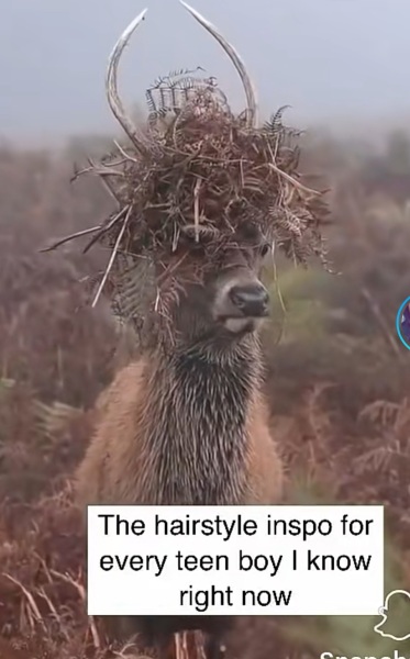 Teenage boy hair styling products