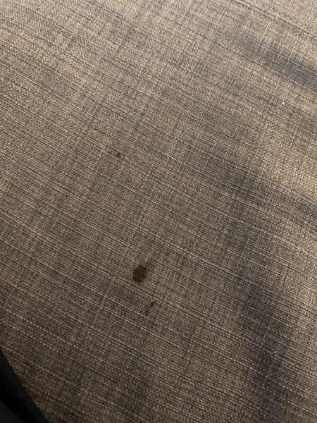 To be worried about stains on my boyfriend’s sofa