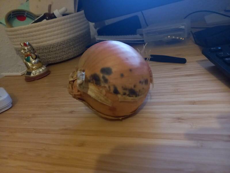 Is this onion safe to eat? Mould on skin see pic