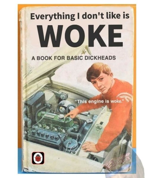 Can anyone who uses the word *Woke* ...