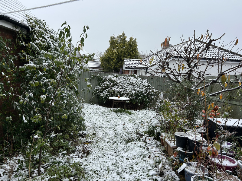 Is it snowing yet where you are?