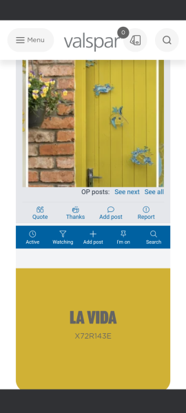 Help with a paint colour please!