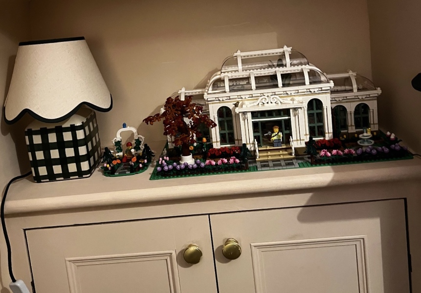 To show me your Lego collection?
