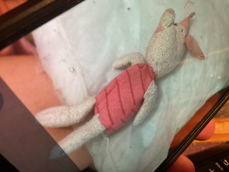 Inspired by another thread and encourage to by some posters - please help me find Piglet (clearer photo further down the thread)