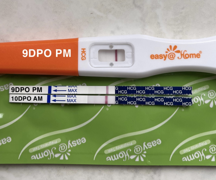 Nov 2024 TTC 💖 part 2 ✨