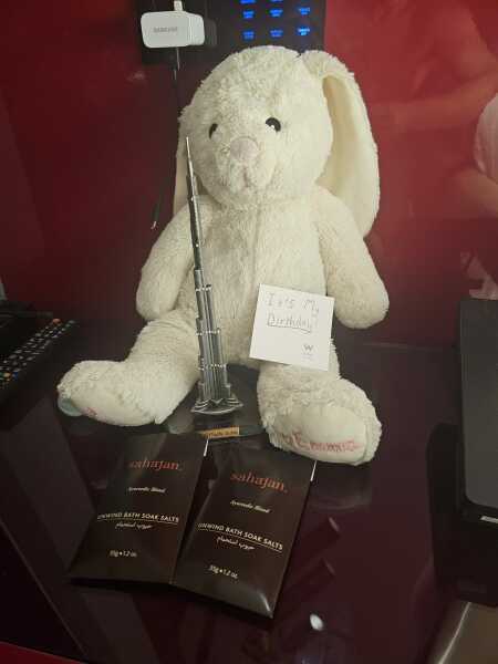 Lost Bunny toy - £100 reward