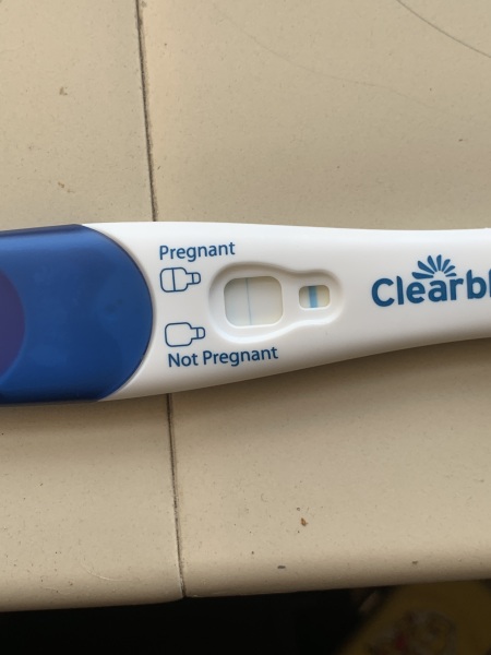 Clear blue test. Evap line or positive