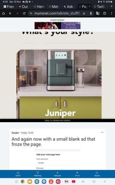 Huge adverts making site unusable