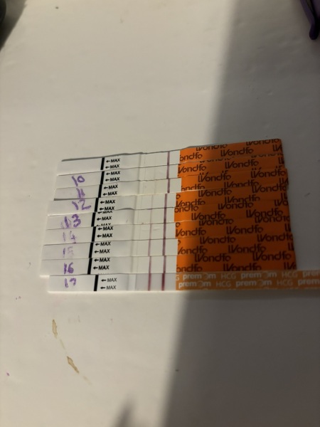 Line progression 9po-17dpo