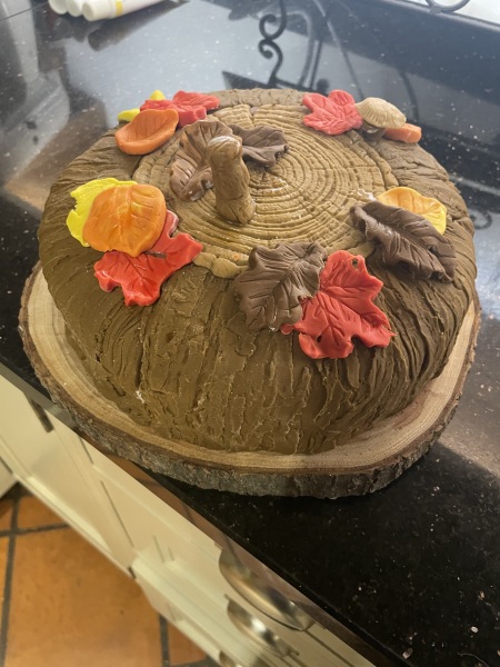 Chocolate Cake with Fondant Icing? Help!
