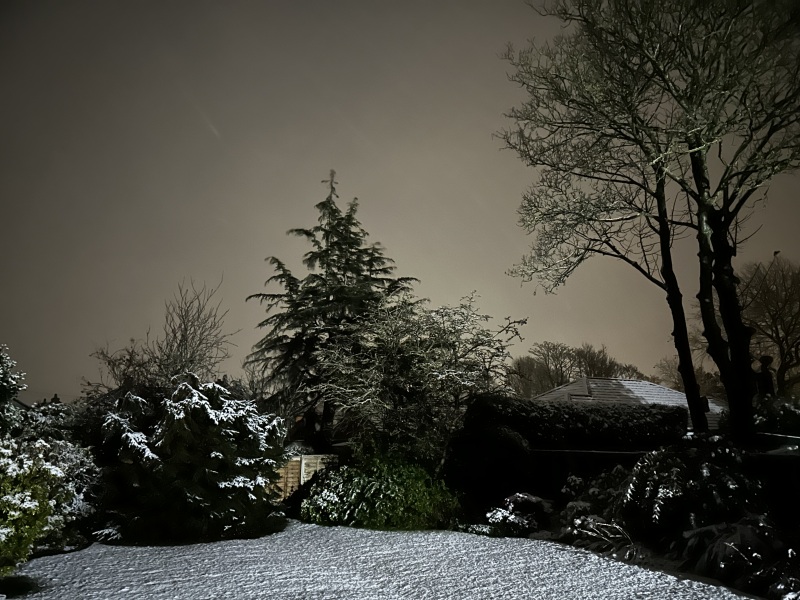 The Nigel Slater Christmas Chronicles Readalong 2024 Part 2