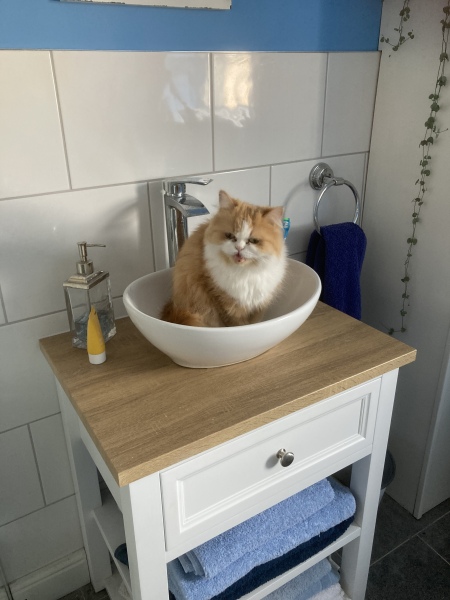 Thread 12 Starmer: From Prescott to Rayner, working class grit