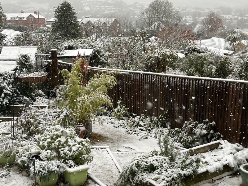 It’s snowing ❄️