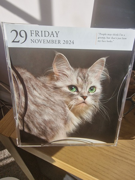 Bluestocking: the one where Boiled gets to the bar first!