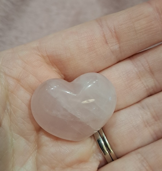 Immune/NK cells pred thread #32