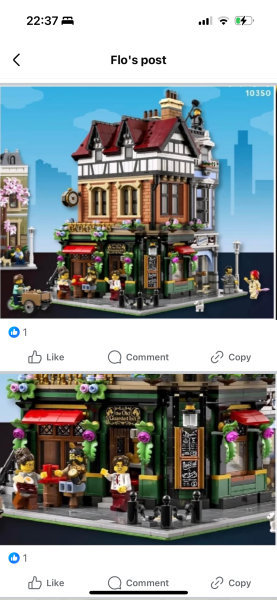 To show me your Lego collection?