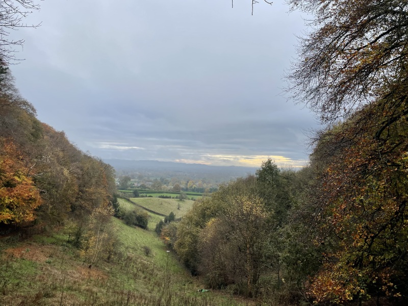 Come and tell me your dull and unexciting news 31: Calmly through the day