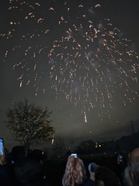 To take my 5 year old autistic daughter to the NYE London fireworks?