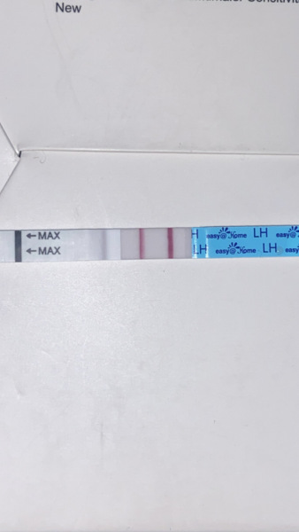 Positive LH test 2 weeks after period is due?
