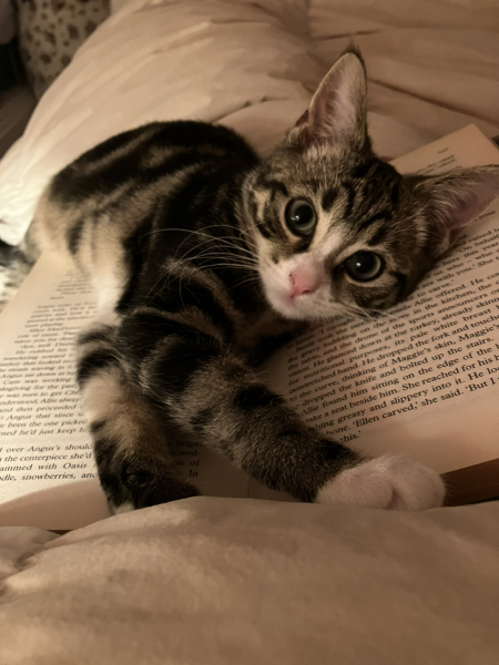 Please can someone distract me?