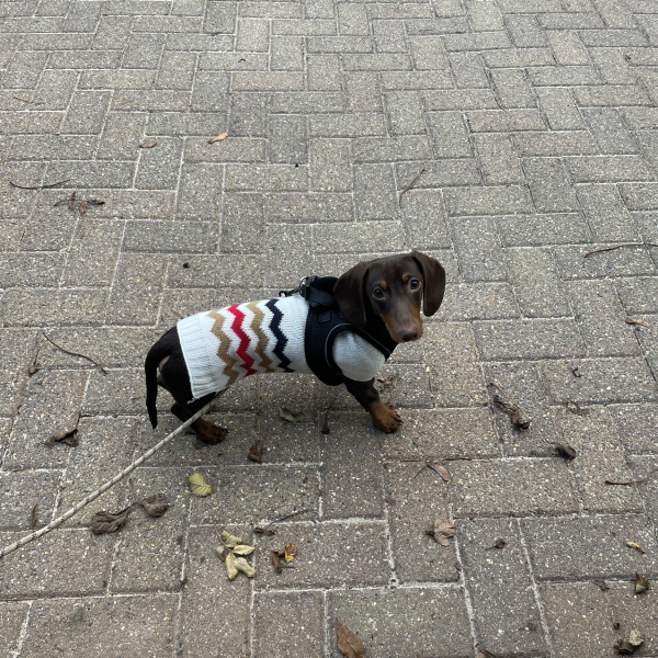 The Nigel Slater Christmas Chronicles Readalong 2024 Part 2