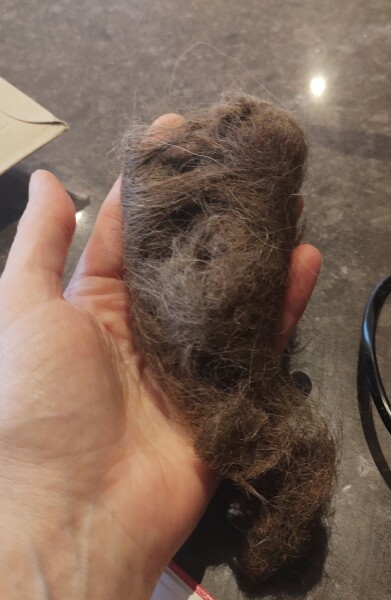 PSA for owners of the Babyliss Big Hair
