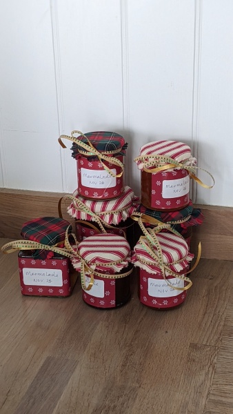 Poncetastic Christmas 2024