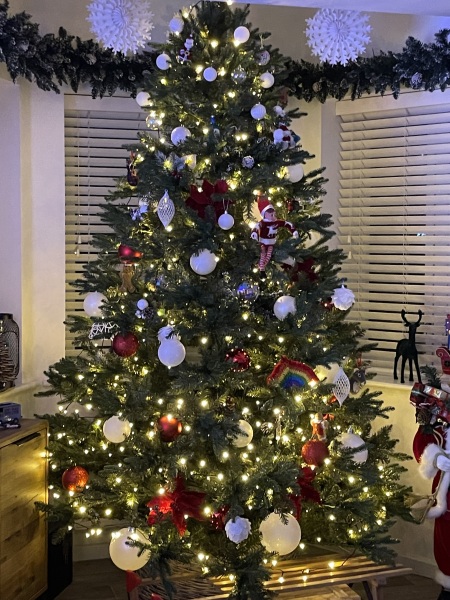 Show us your Christmas trees