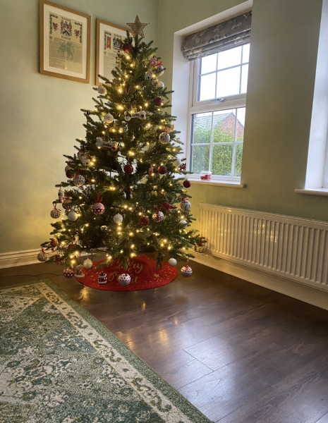 Show us your Christmas trees