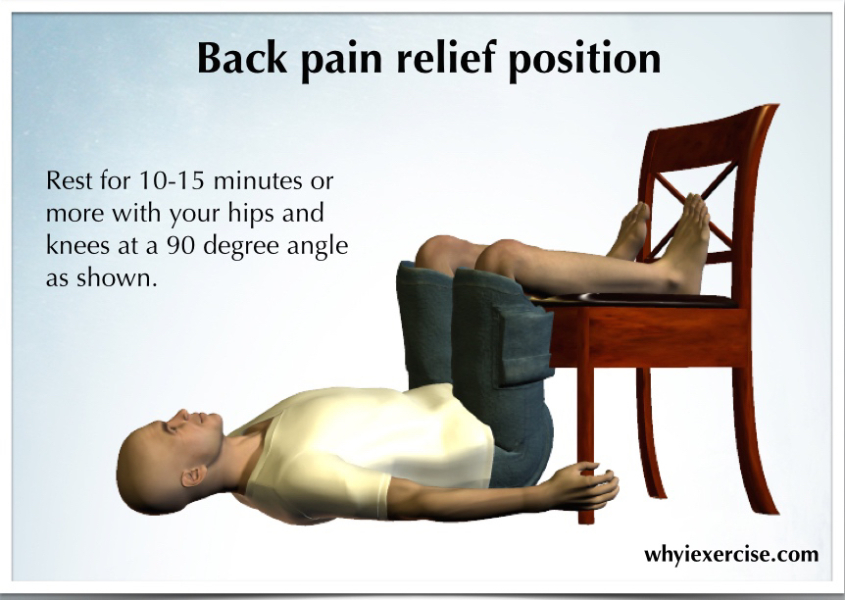 Are there any back pain experts around please?