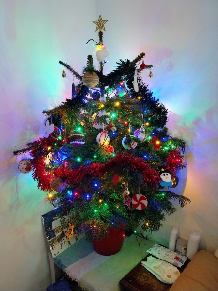 Show us your Christmas trees